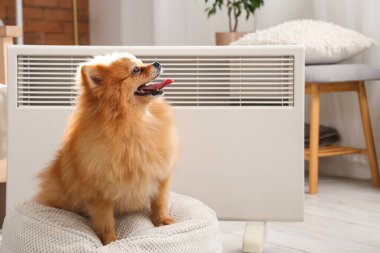 Evde elektrikli konteyner ısıtıcısının yanında pouf üzerinde şirin Pomeranya köpeği.