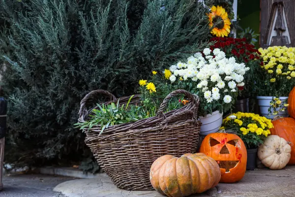 Sonbahar çiçekleri ve dışarıda Cadılar Bayramı balkabaklarıyla dolu bir sepet.