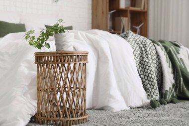 Açık yatak odasındaki yeşil bitki