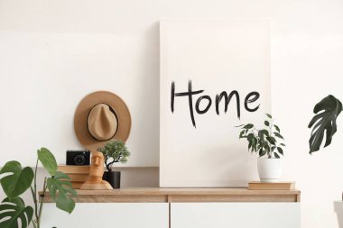 Işık duvarının yanındaki klozette bitkiler, kitaplar ve fotoğraf makinesi olan bir poster.