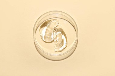 Sarı arka planda numune içeren petri kabı