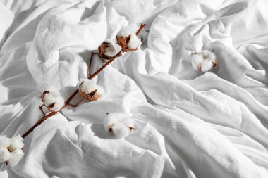Pamuk filizi ve beyaz çarşaflarda çiçekler