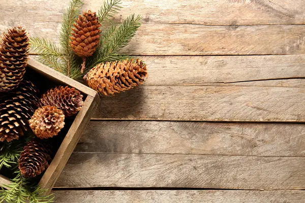 Çam kozalaklı kutu ve ahşap arka planda köknar dalları