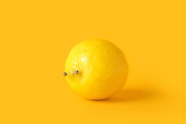 Sarı arka planda piercingli limon