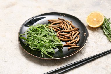 Beyaz arka planda roka ve limonlu kızarmış kurtçuk tabağı.