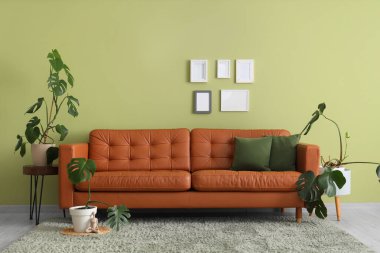 Oturma odasının içinde şık bir deri kanepe ve yeşil duvarın yanında bitkiler.