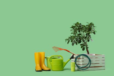 Bahçe malzemeleri seti ve yeşil arka planda dekoratif ağaç.