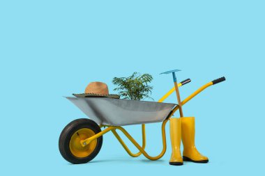 Bahçe aletleri ve mavi arka planda ev bitkisi olan el arabası