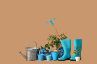 Bej arka planda bitkileri olan bahçe malzemeleri.