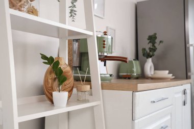 Mutfakta ev bitkisi ve aroma çubukları olan raf ünitesi, yakın plan.