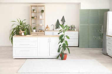 Ev bitkileri, beyaz tezgahlar ve raf ünitesi olan şık bir mutfak.