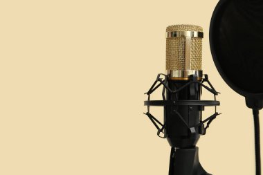 Bej arka planda profesyonel mikrofonun yanında dur