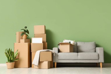 Oturma odasının içinde gri kanepe, ev bitkileri ve yeşil duvarın yanında bir sürü paket var.