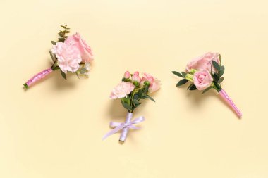 Renkli arka planda güzel yaka çiçekleri