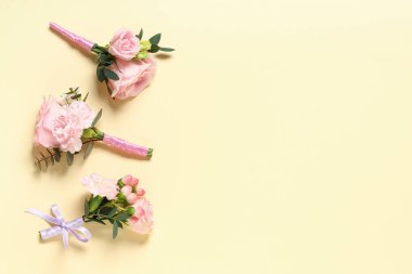 Renkli arka planda güzel yaka çiçekleri