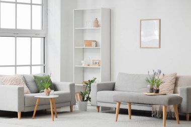 Oturma odasının içinde kanepeler, yumuşak bank ve Muscari çiçekleri var.