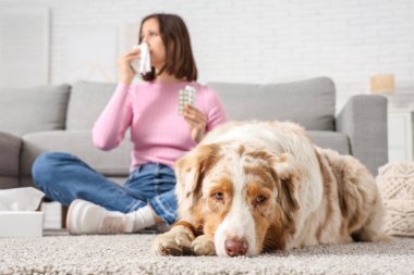 Evde kürke alerjisi olan köpek ve hapşıran genç kadın.