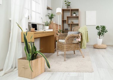 Çalışma yeri, raf ünitesi ve bitkilerle aydınlatma ofisinin içi