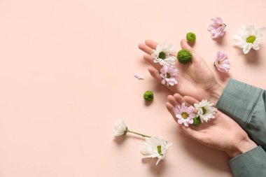 Bej arka planda taze papatyalar olan kadın elleri. Bakım kavramı