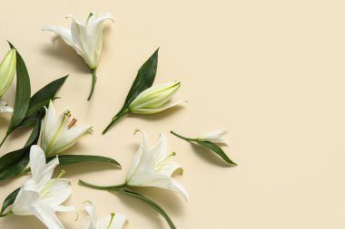 Bej arka planda beyaz zambak çiçekleri. Üst görünüm