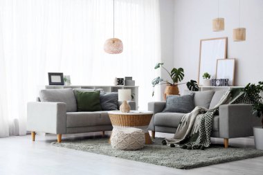 Gri koltukları, raf ünitesi ve ev bitkileriyle modern oturma odasının içinde.