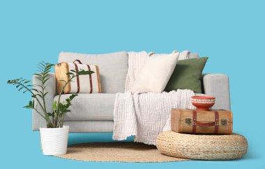 Şık gri kanepe, ev bitkisi ve mavi arka planda eski bavullar.