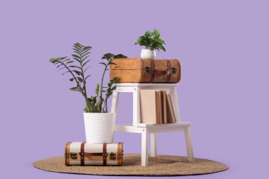 Kaliteli bavulları, kitapları ve leylak arkaplanlı çiçekleri olan şık bir raf.