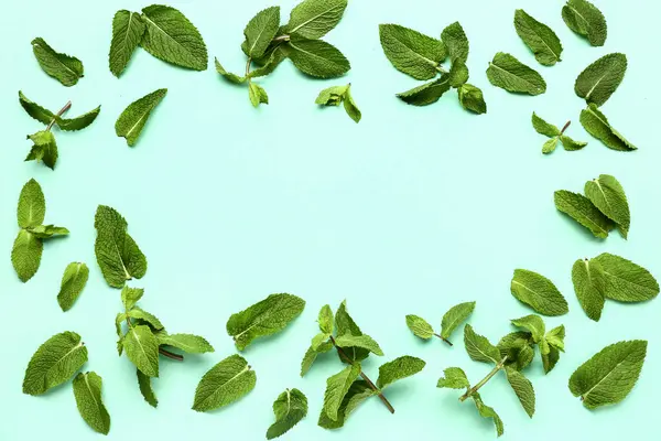 Renkli arkaplanda taze nane yapraklarından yapılmış çerçeve