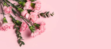 Pembe arkaplanda güzel çiçekler, metin için boşluk, üst görünüm