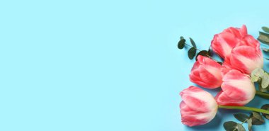 Açık mavi arkaplanda güzel lale çiçekleri ve metin için boşluk