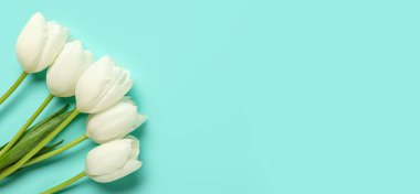 Turkuaz arkaplan üzerinde güzel laleler metin için boşluk, üst görünüm