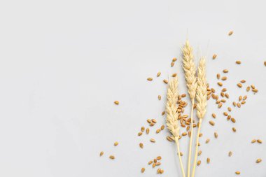 Gri arkaplanda buğday kulakları ve tahıllar