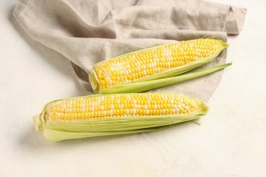 Beyaz arkaplanda taze mısır koçanları