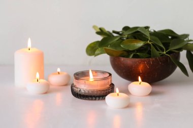 Beyaz arka planda yanan mumlar ve saksı bitkisi