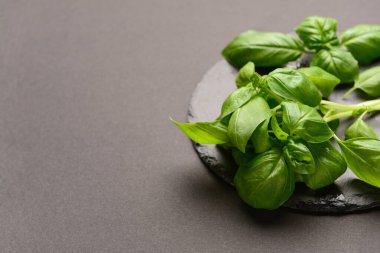 Siyah arkaplanda taze fesleğen bulunan tahta