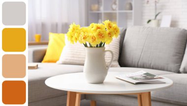 Oturma odasındaki kahve masasındaki sürahide nergis çiçeği