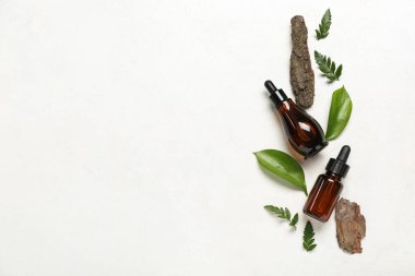 Bitki yapraklı bir şişe kozmetik yağı ve beyaz grunge arka planda ağaç kabuğu.