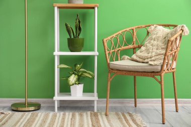 Rafların, çiçeklerin ve sandalyenin bulunduğu şık bir oda.