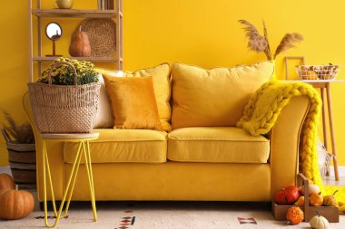 Kanepesi, çiçekleri ve balkabağı olan rahat bir oturma odası.