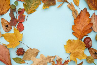 Mavi arka planda sonbahar yaprakları ve orman dekorundan yapılmış çerçeve