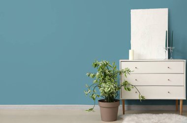 Tuvalli dolap, saksı ve mavi duvarın yanındaki mumlar.