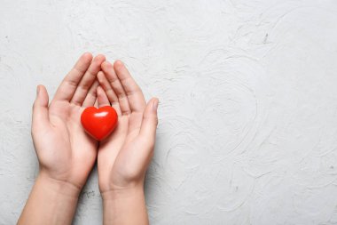 Beyaz arka planda kırmızı kalbi tutan kadın elleri