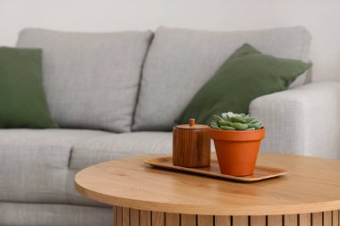 Oturma odasının içinde bitki, masa ve kanepe var.