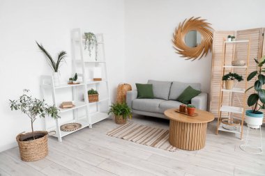 Oturma odasının içinde raf üniteleri, ev bitkileri, ayna, masa ve kanepe.