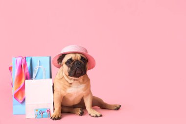 Şapkası alışveriş çantalarının yanında oturan sevimli Fransız bulldog 'u, başörtüsü ve pembe arka planda hediye kartı.