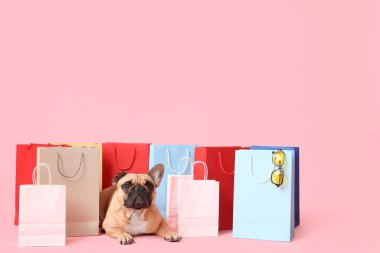 Alışveriş torbaları ve pembe arka planda güneş gözlüğü olan sevimli Fransız bulldog 'u.