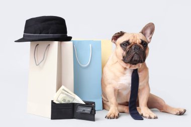 Kravatlı, şapkalı, alışveriş çantalı ve beyaz arka planda parası olan sevimli Fransız bulldog 'u.
