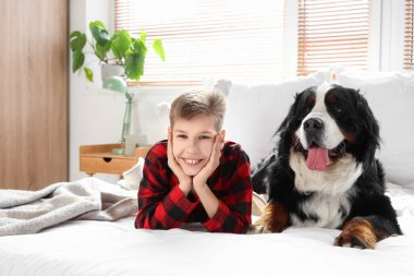 Küçük çocuk ve Bernese dağ köpeği yatak odasında yatıyor.