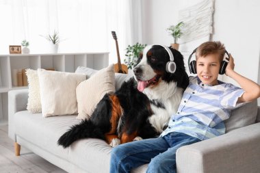 Bernese dağ köpeği kulaklıklı küçük çocuk evdeki koltukta oturuyor.