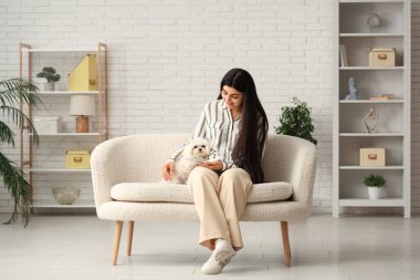 Beyaz Bolonez köpeği ve şık ofisinde defteriyle kanepede oturan genç bir kadın.